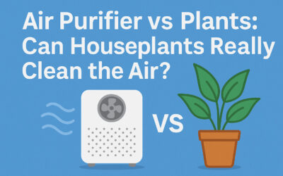 Air Purifier vs Plants: Can Houseplants Really Clean the Air?
