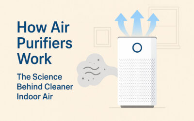How Air Purifiers Work: The Science Behind Cleaner Indoor Air