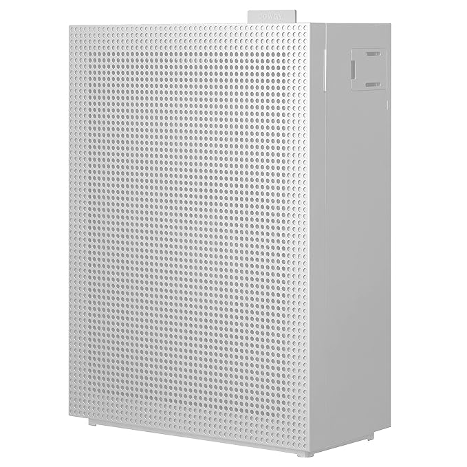 Coway Airmega best air purifier for home in India